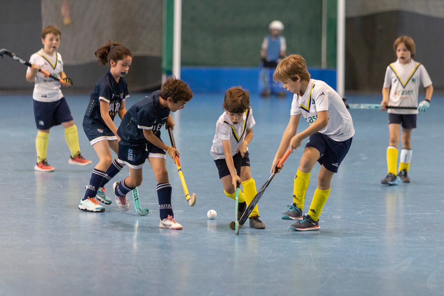 Hockey - Categorias