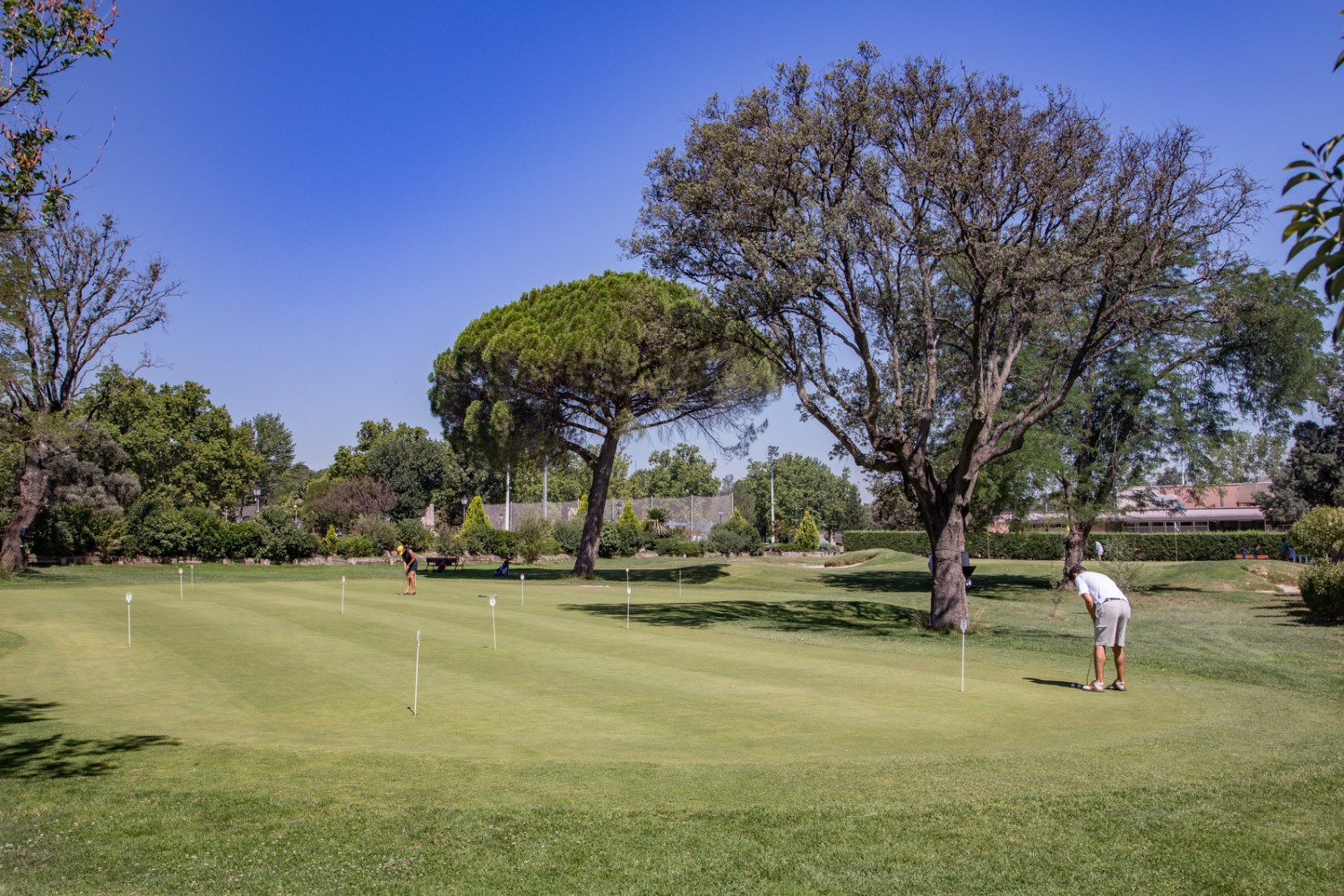 Putting Green