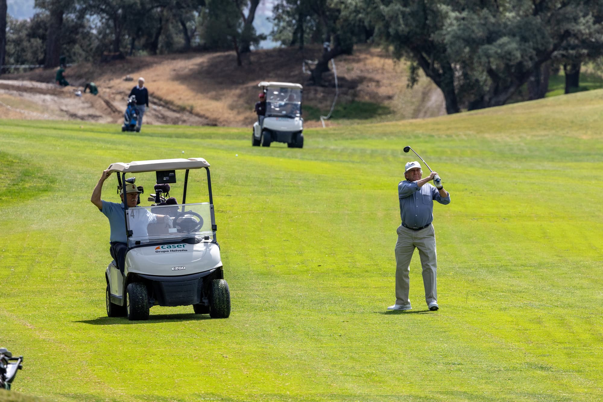 Cuarto de palos y buggies