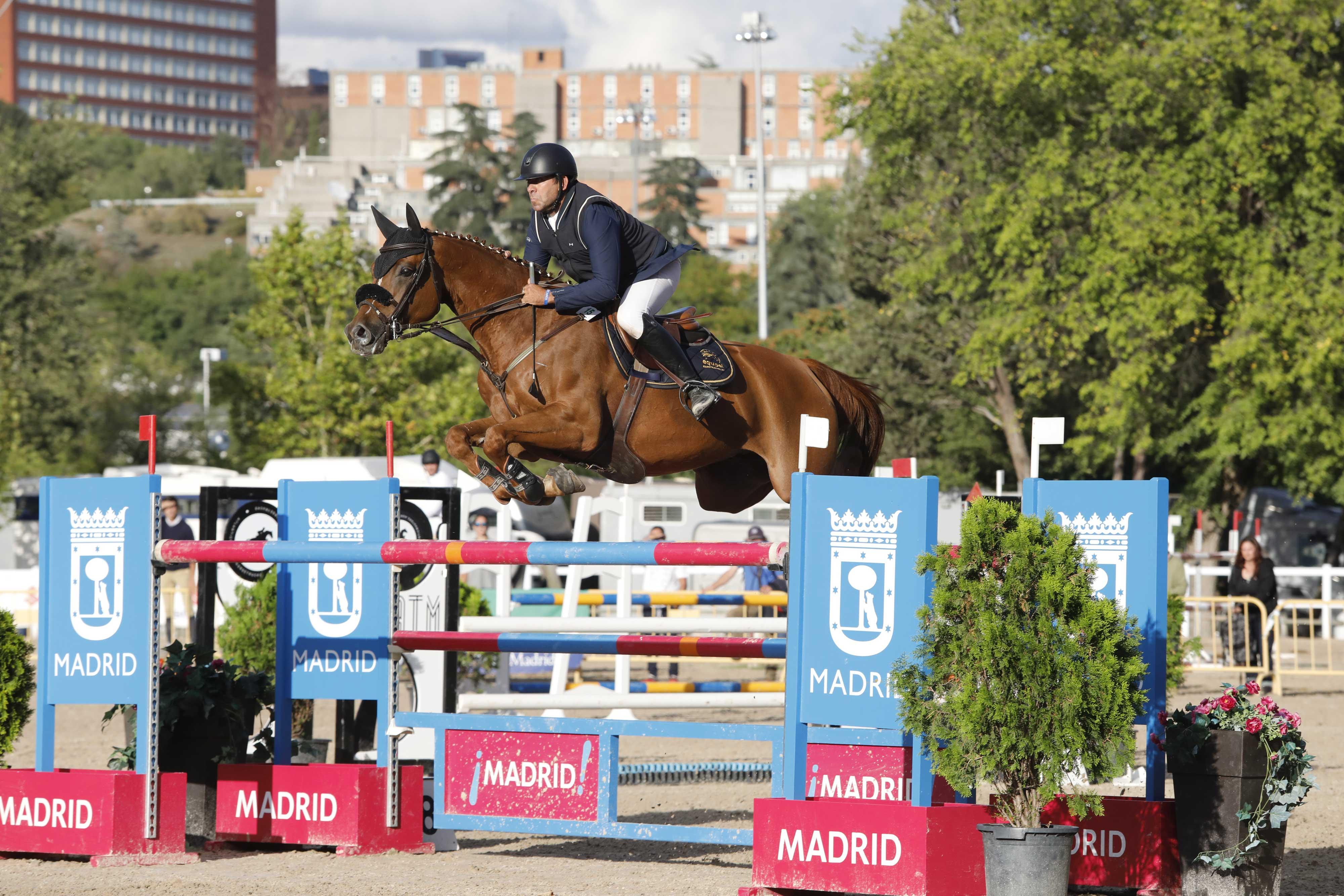 Simba de Olid, montado por Juan Ignacio Álvarez Fermosel, ganó el Campeonato de España de Caballos Nacionales. Foto: ANCADES