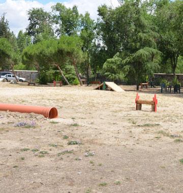 HABILITADA ZONA PARA PERROS