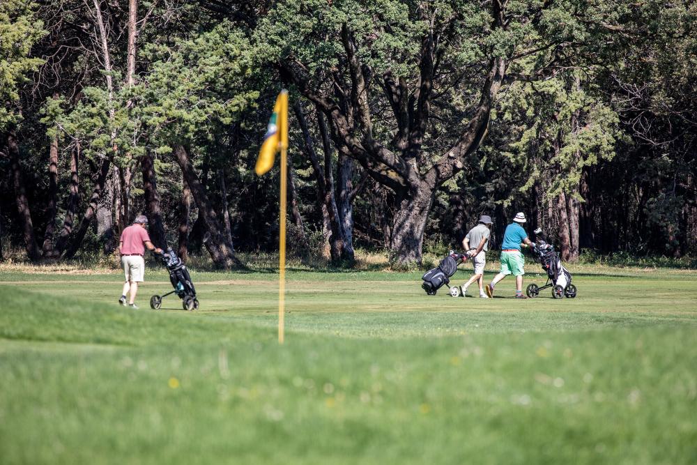 Campo de golf del Club de Campo Villa de Madrid. Foto Miguel Ros / CCVM