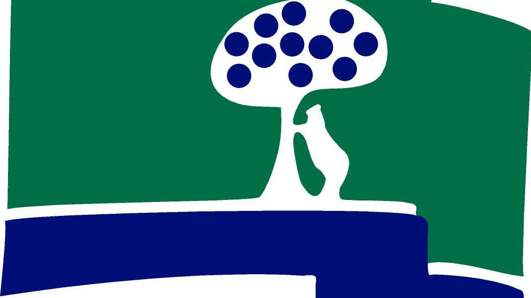 Logo CCVM