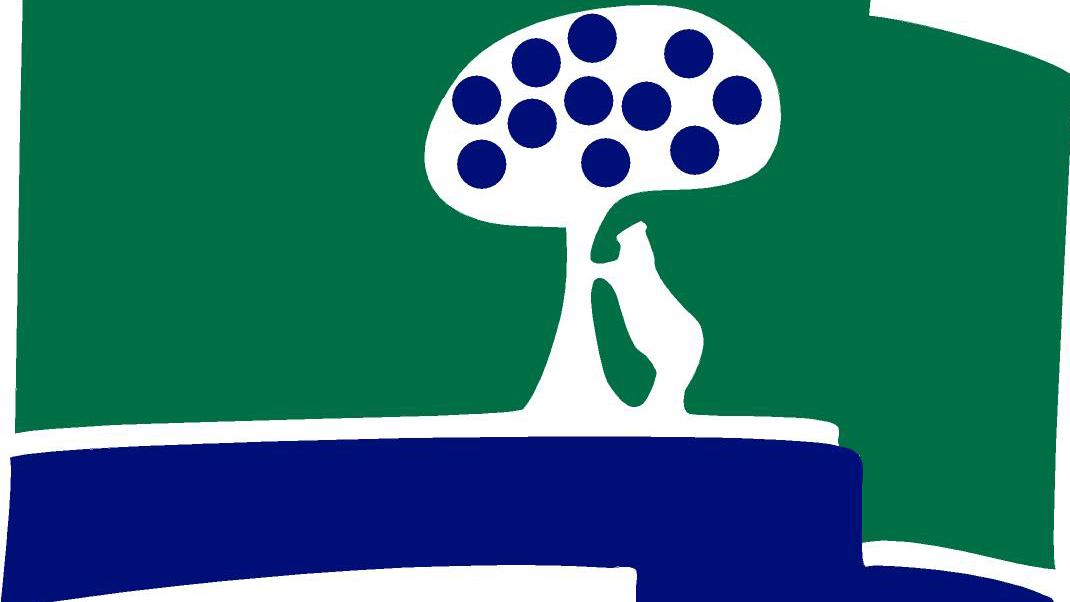 Logo CCVM