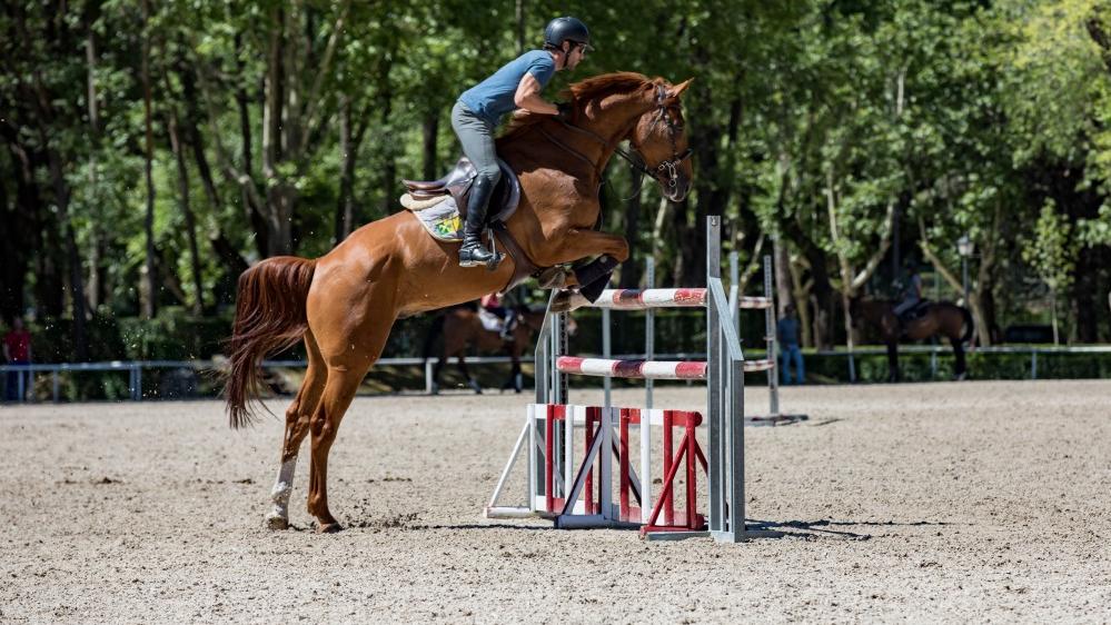 Un binomio supera un obstáculo en la pista social de hípica del Club de Campo Villa de Madrid. Foto: Miguel Ros / CCVM