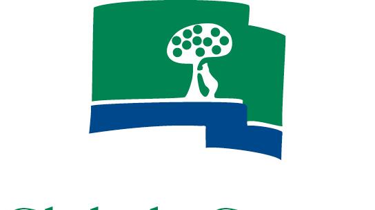 logo ccvm