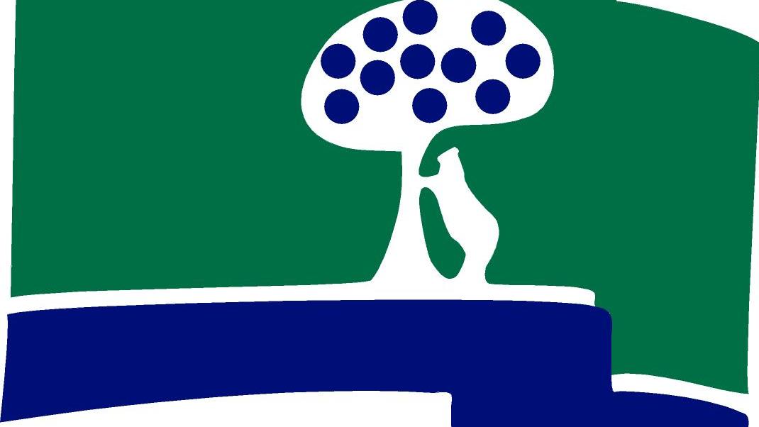 logo ccvm