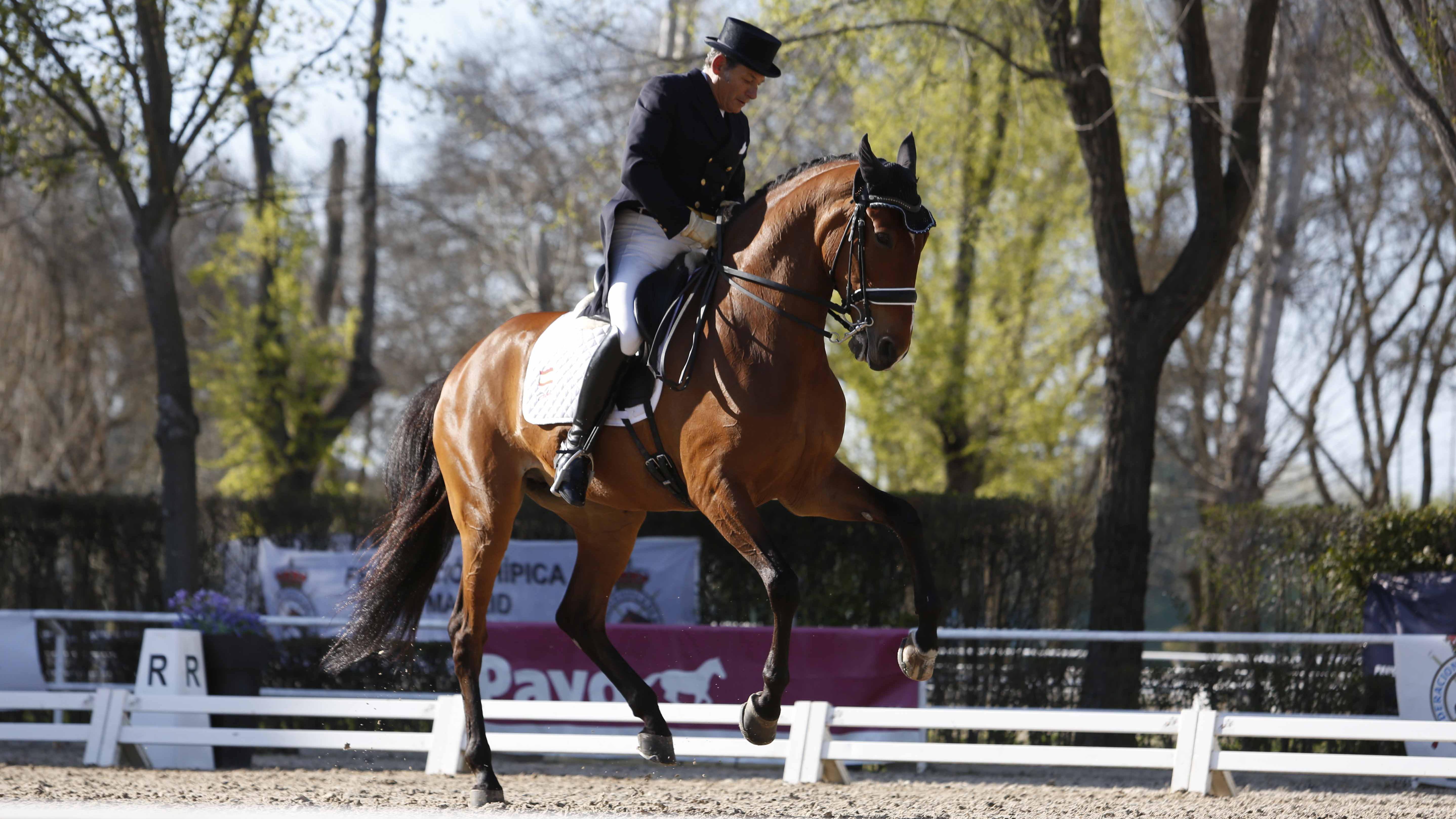 CDI 3*-Copa de S.M. El Rey de Doma Clásica 2019. Fotos: Ángel Yuste y Miguel Ros