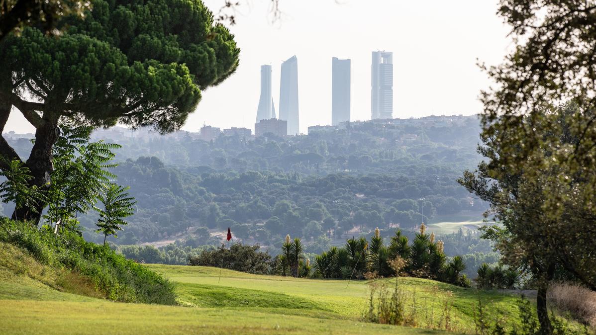 Circuito de Madrid de Profesionales 2018