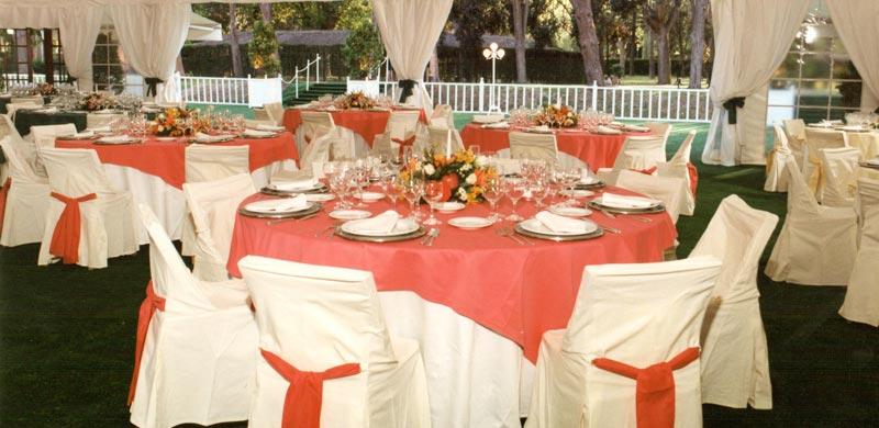 Carpa bodas y eventos