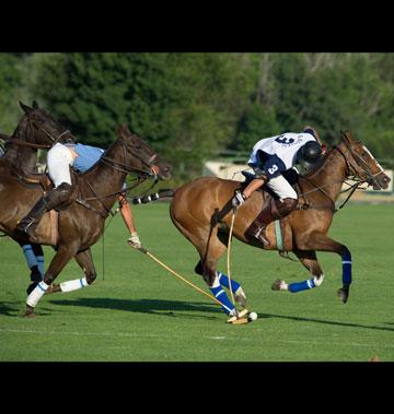 Abierto de Polo de Madrid - Copa Volvo 2014