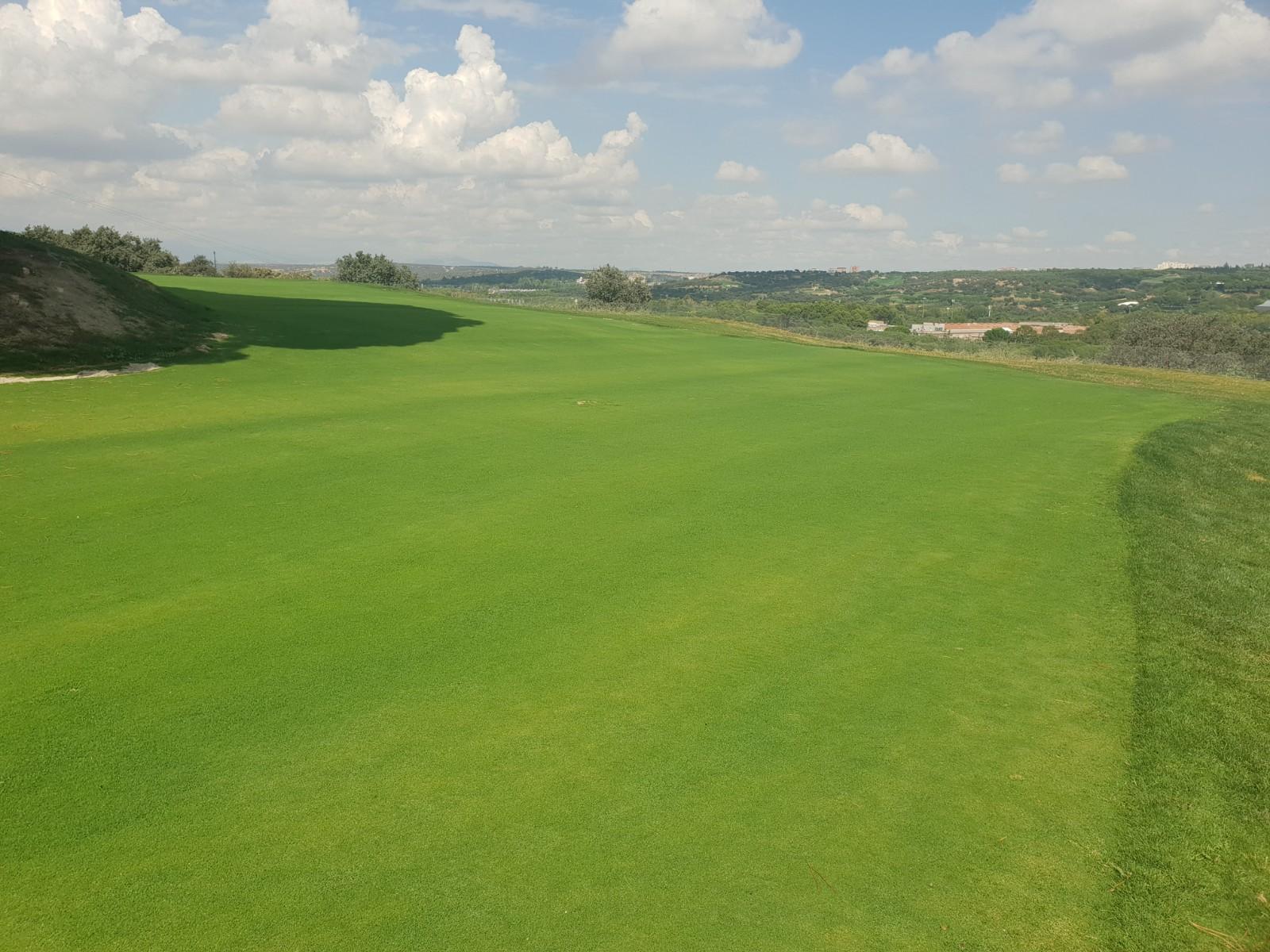 Putting green ampliado.