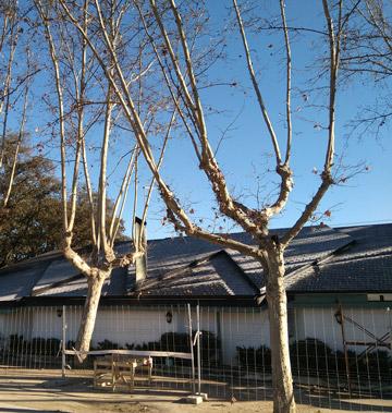 Chalet de tiro