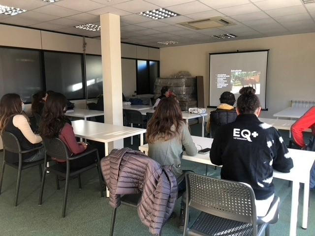 Taller de inyecciones ecoguiadas en caballos con José Manuel Romero