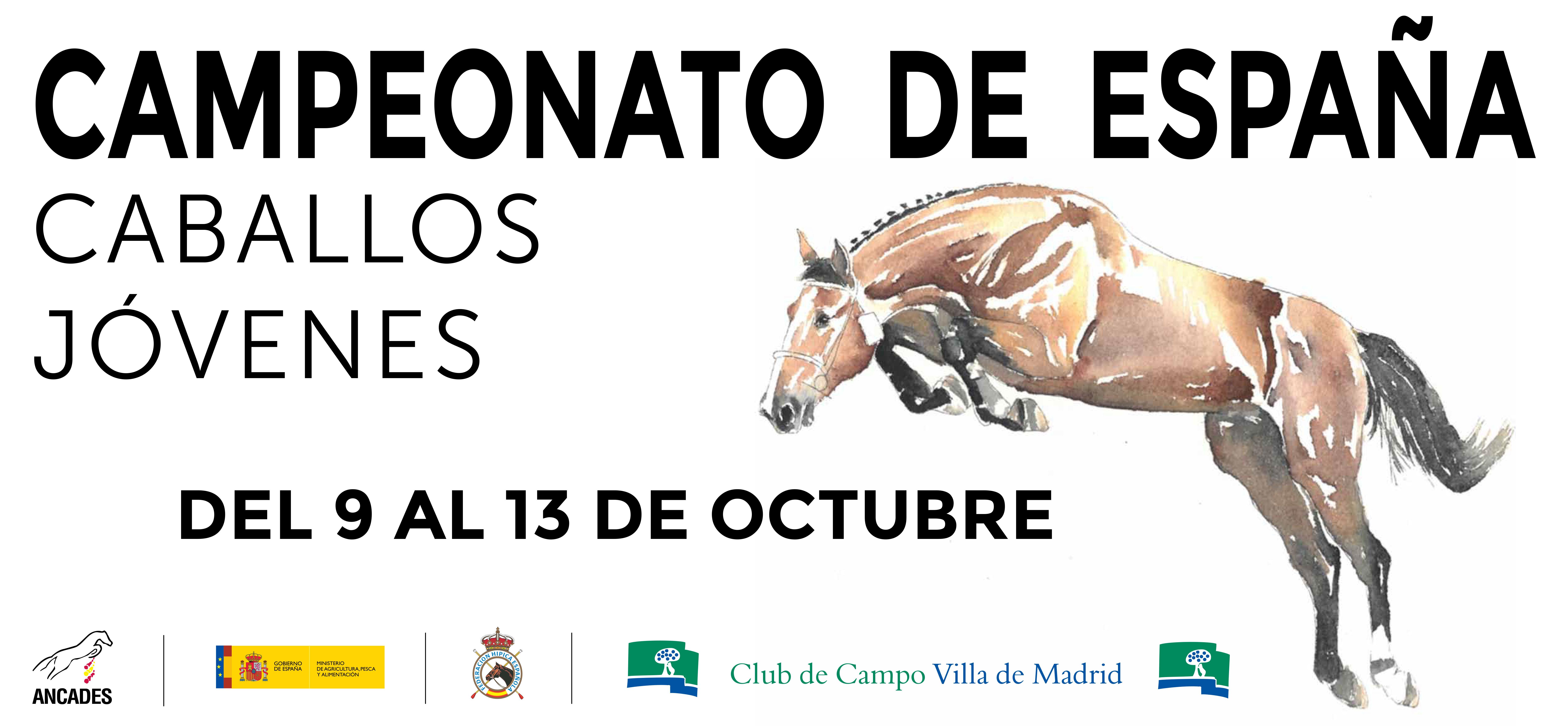 Cartel Campeonato de España Caballos Jóvenes 2019.