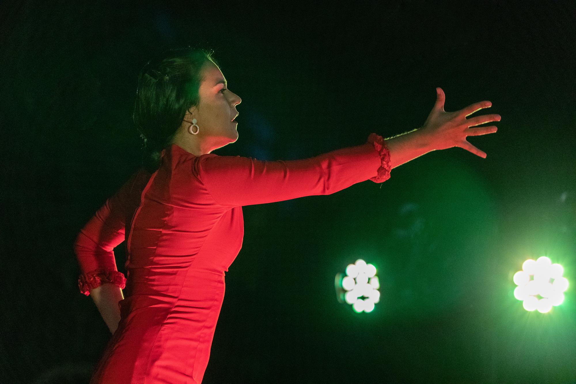 Flamenco de Etnia y Tradición. Foto: Miguel Ros / CCVM