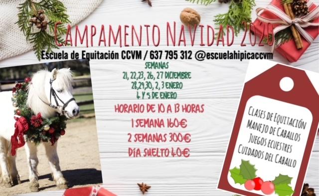 Campamento Navidad Equitación.