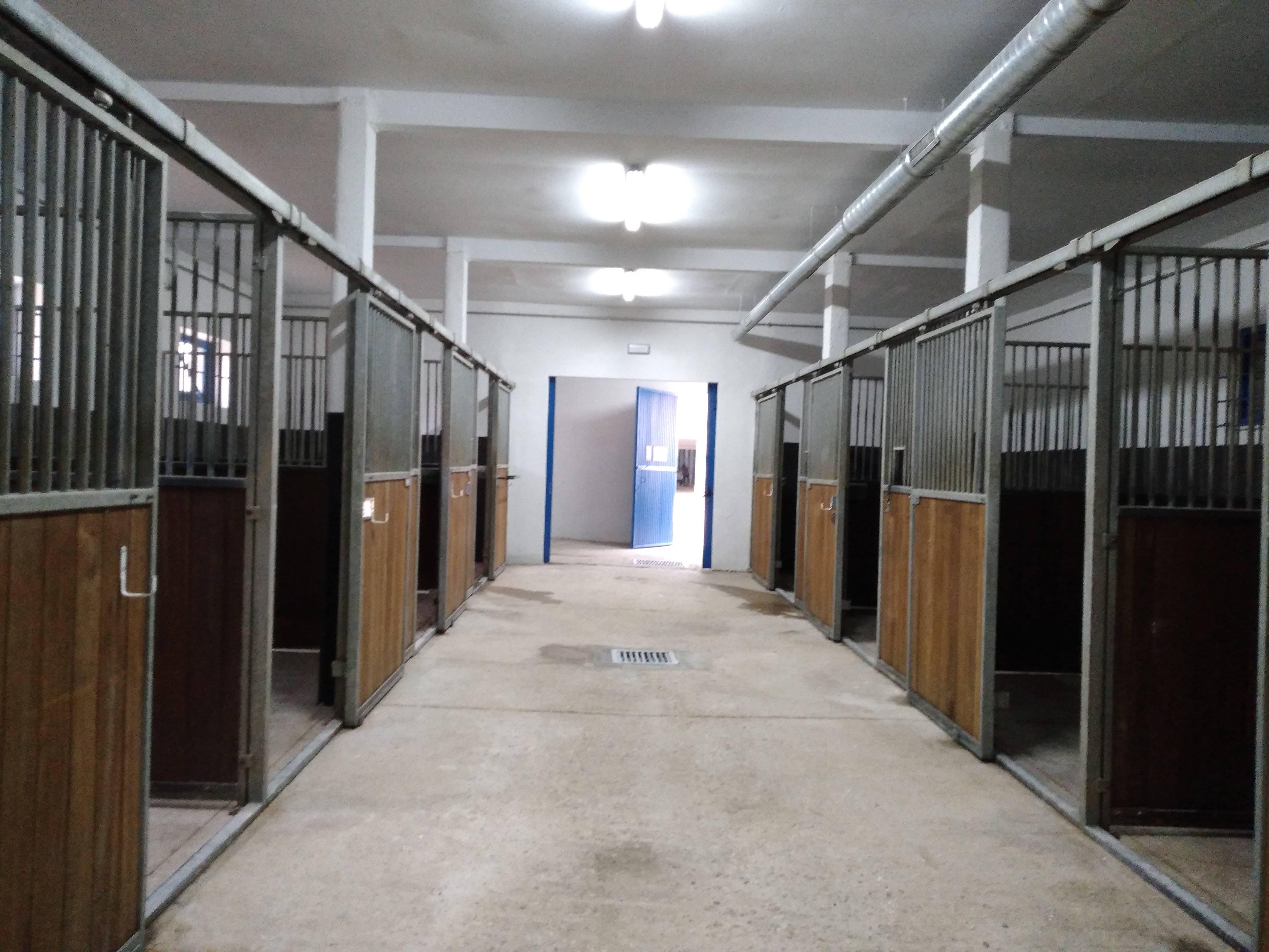 Rehabilitación del edificio Cuadra 6 de hípica.