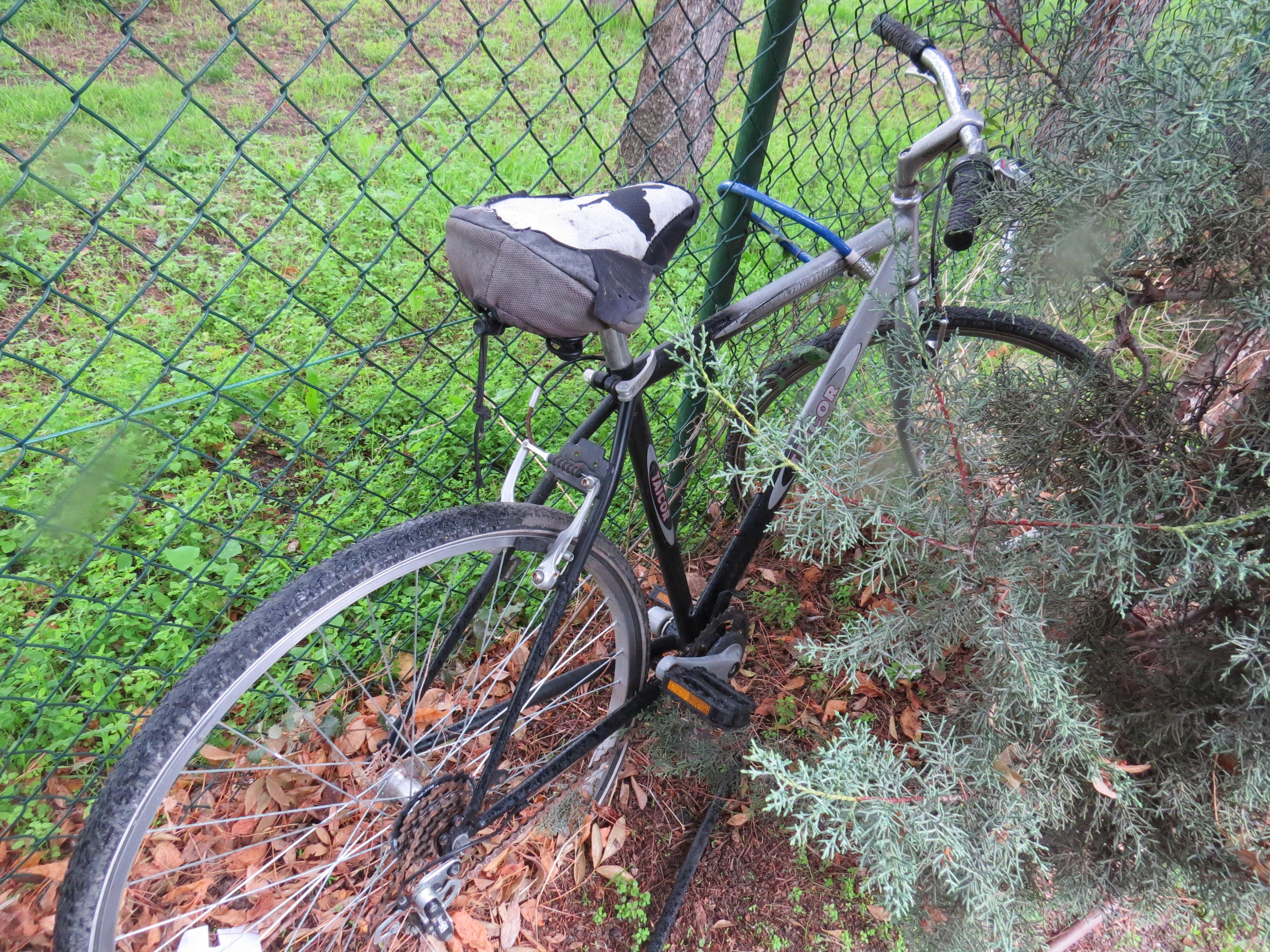 Bicicletas estacionadas en el Club.