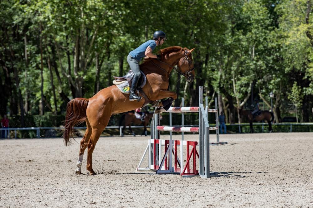Un binomio supera un obstáculo en la pista social de hípica del Club de Campo Villa de Madrid. Foto: Miguel Ros / CCVM