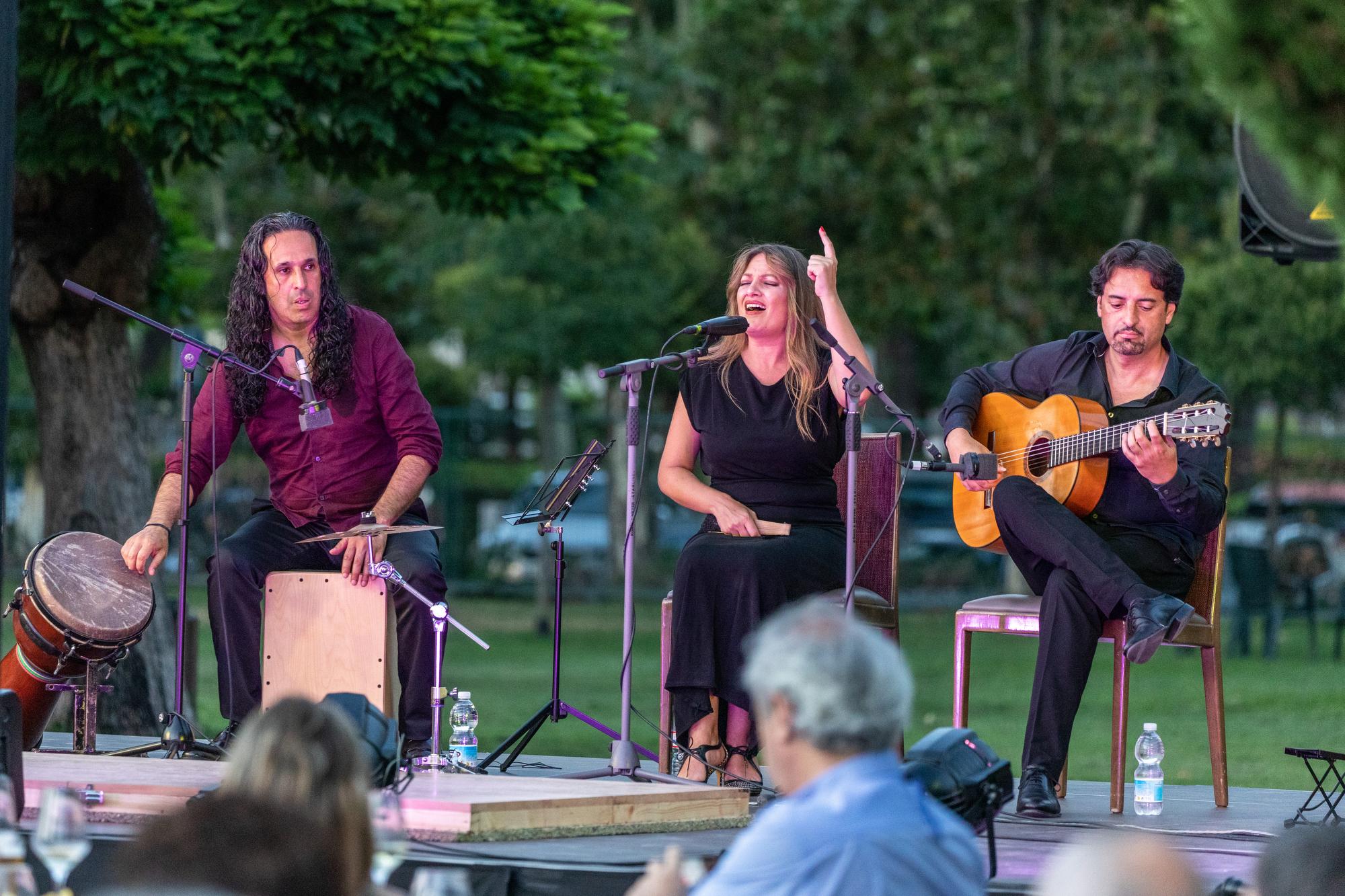 Flamenco de Etnia y Tradición, en imágenes