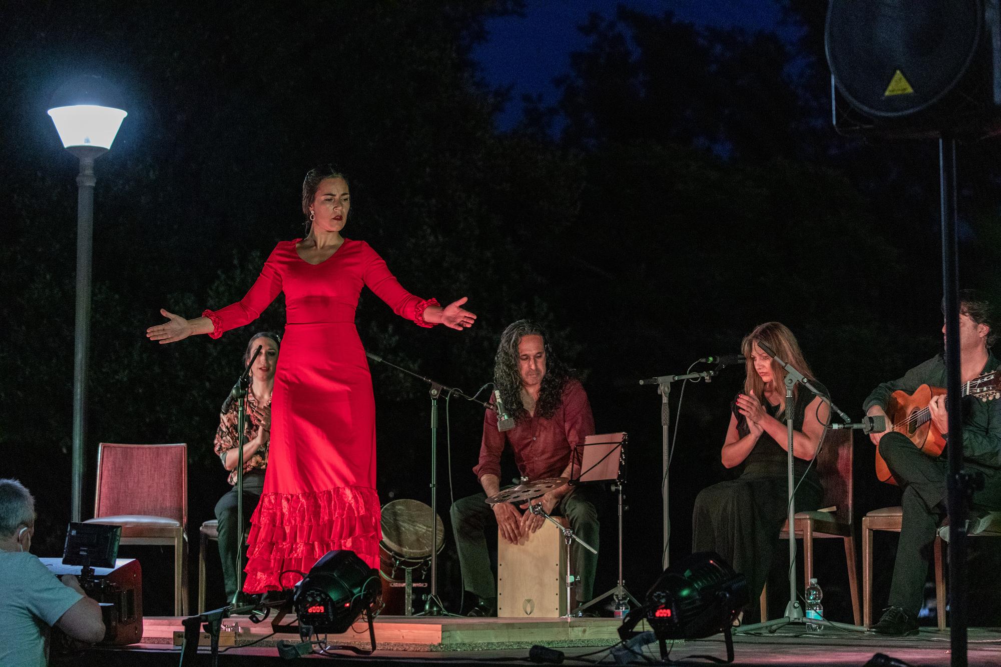 Flamenco de Etnia y Tradición, en imágenes