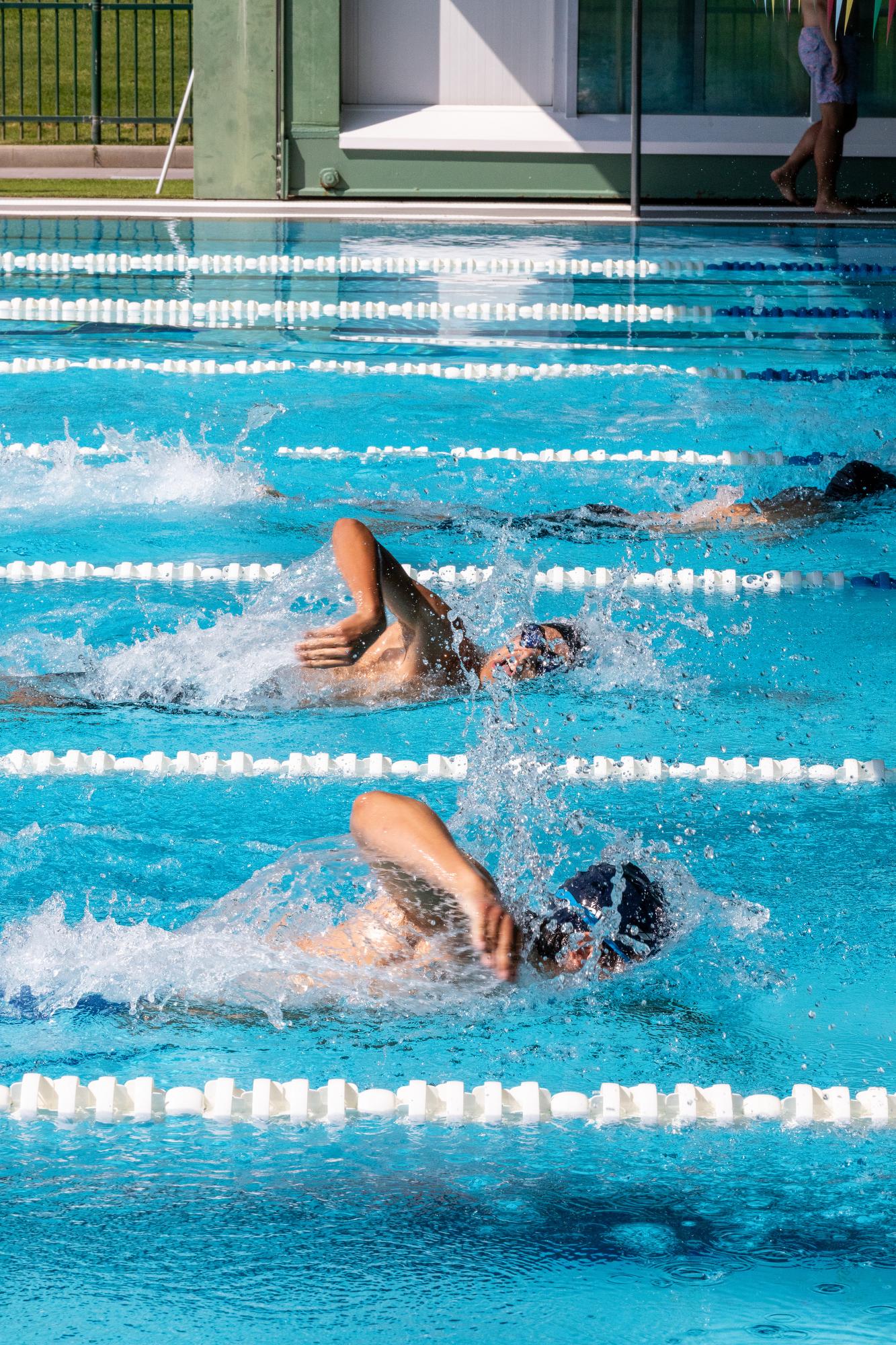 Natación, en el Club de Campo Villa de Madrid. Foto: Miguel Ángel Ros Blanco / CCVM