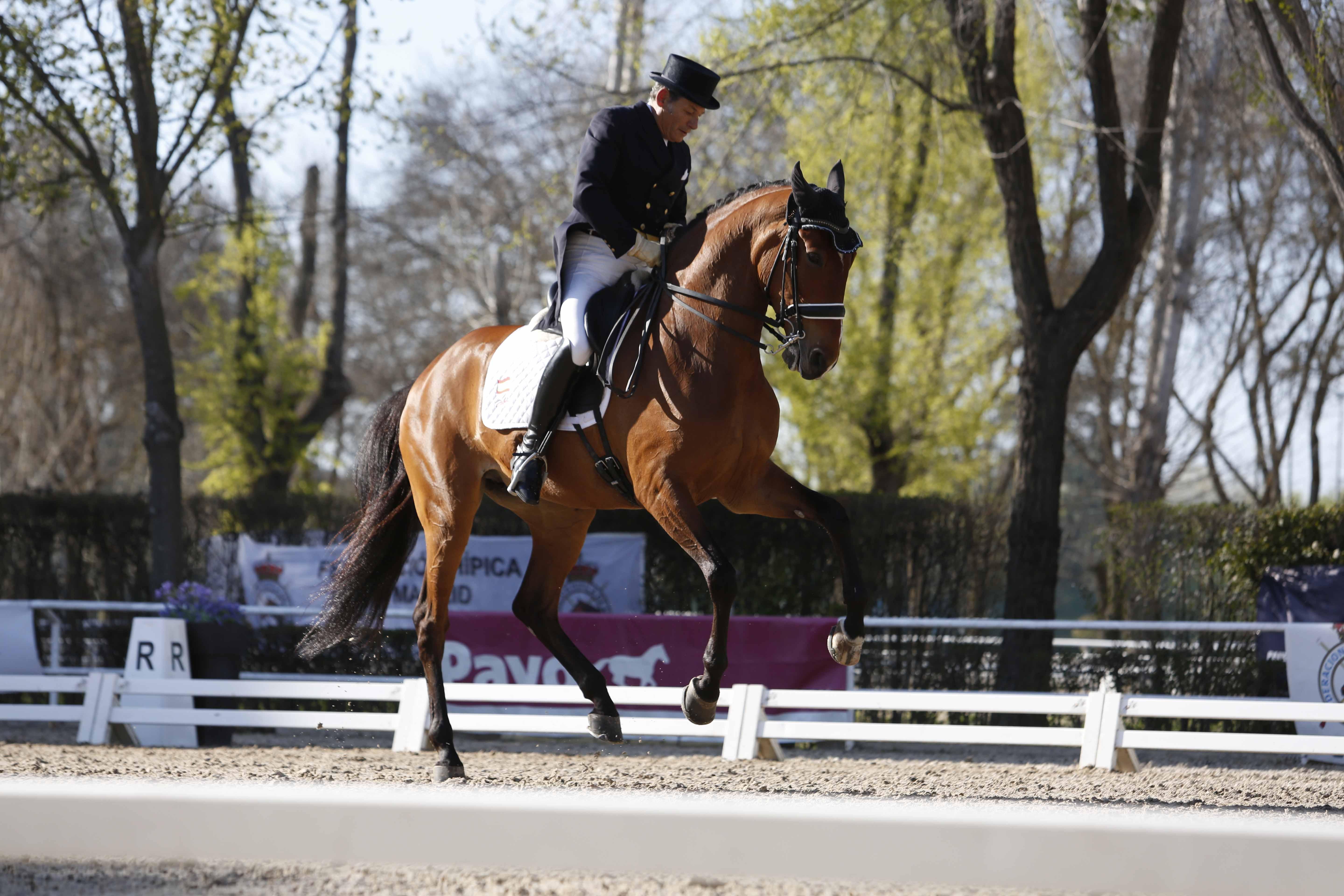 CDI 3*-Copa de S.M. El Rey de Doma Clásica 2019. Fotos: Ángel Yuste y Miguel Ros
