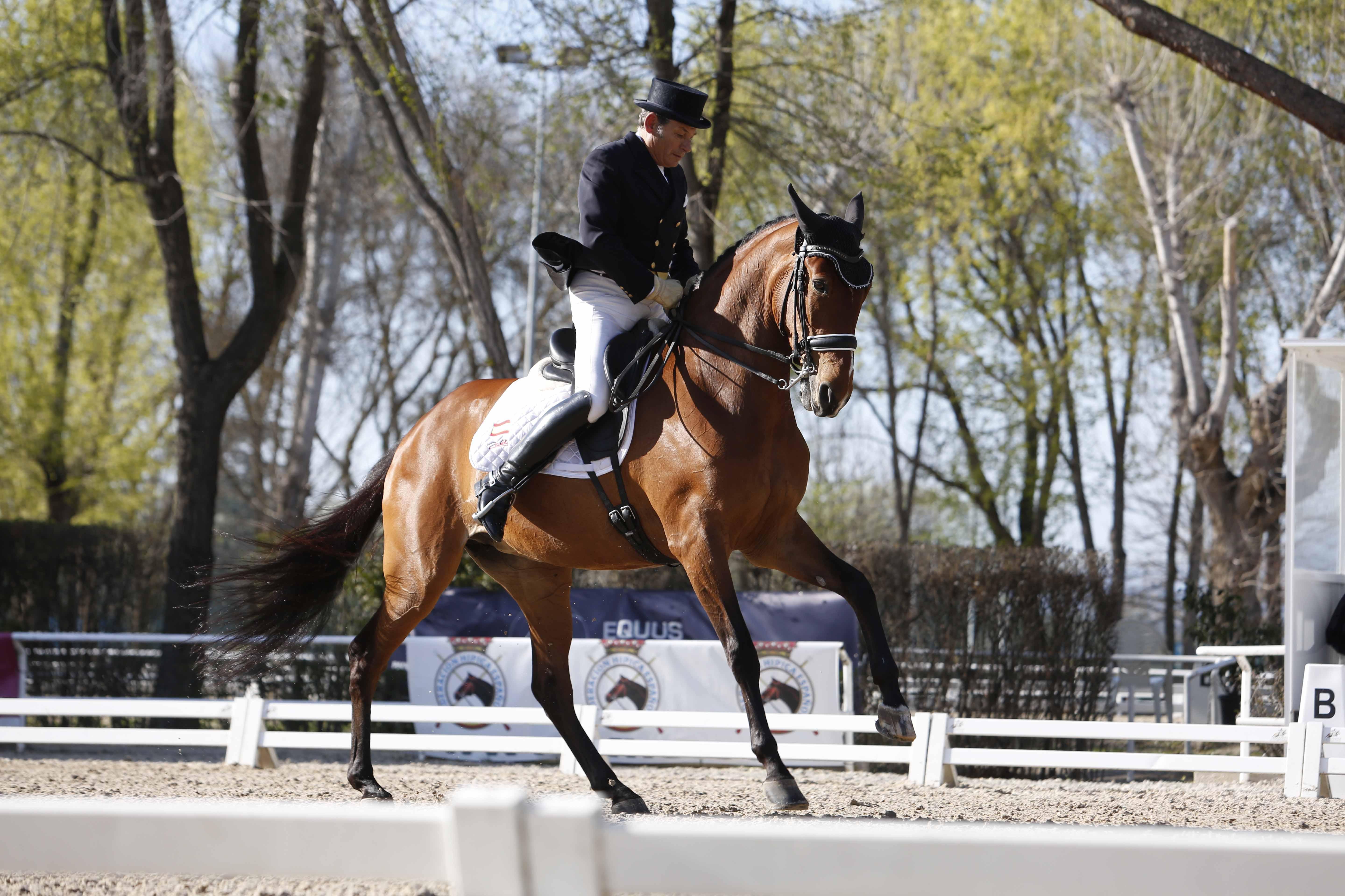 CDI 3*-Copa de S.M. El Rey de Doma Clásica 2019. Fotos: Ángel Yuste y Miguel Ros