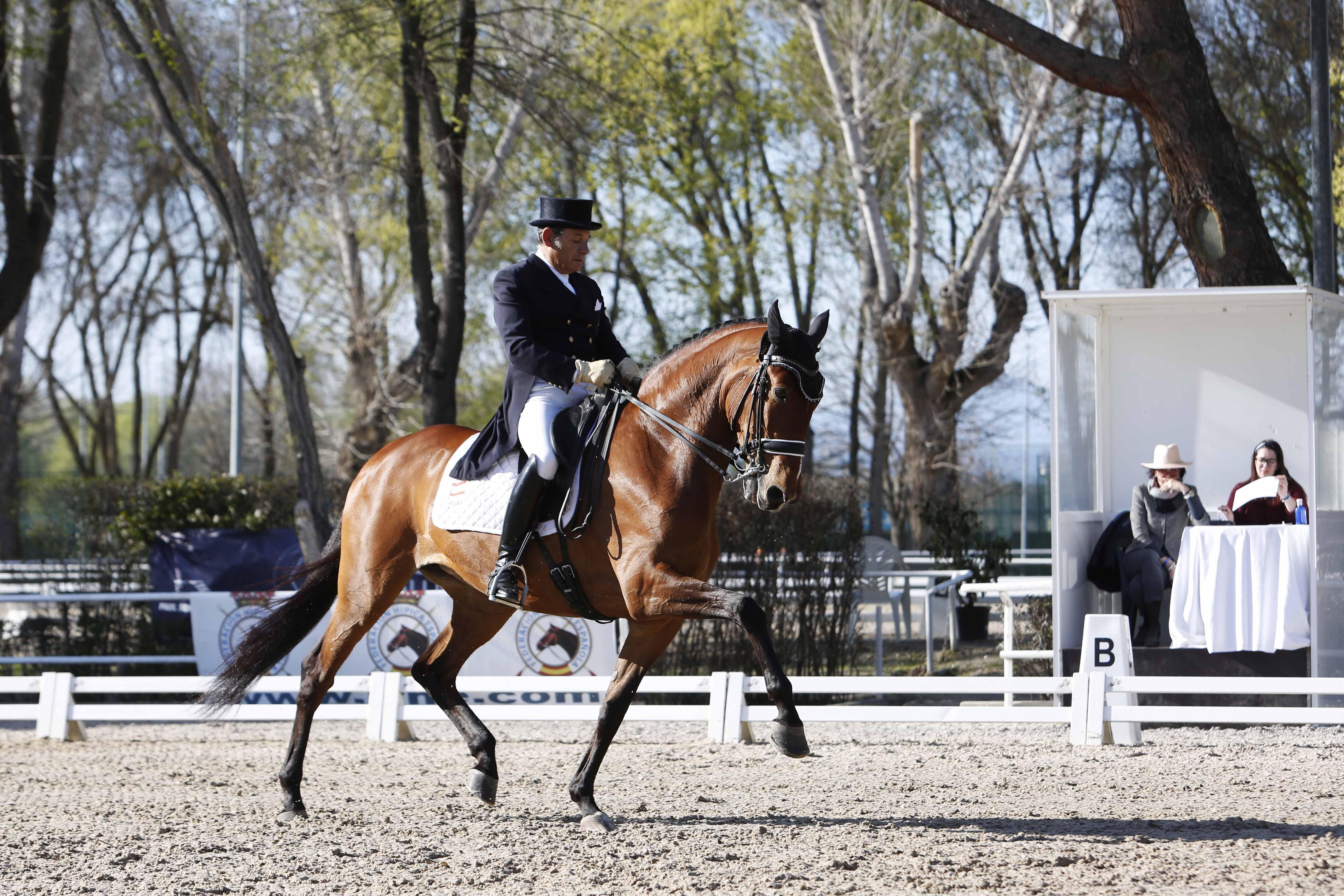 CDI 3*-Copa de S.M. El Rey de Doma Clásica 2019. Fotos: Ángel Yuste y Miguel Ros