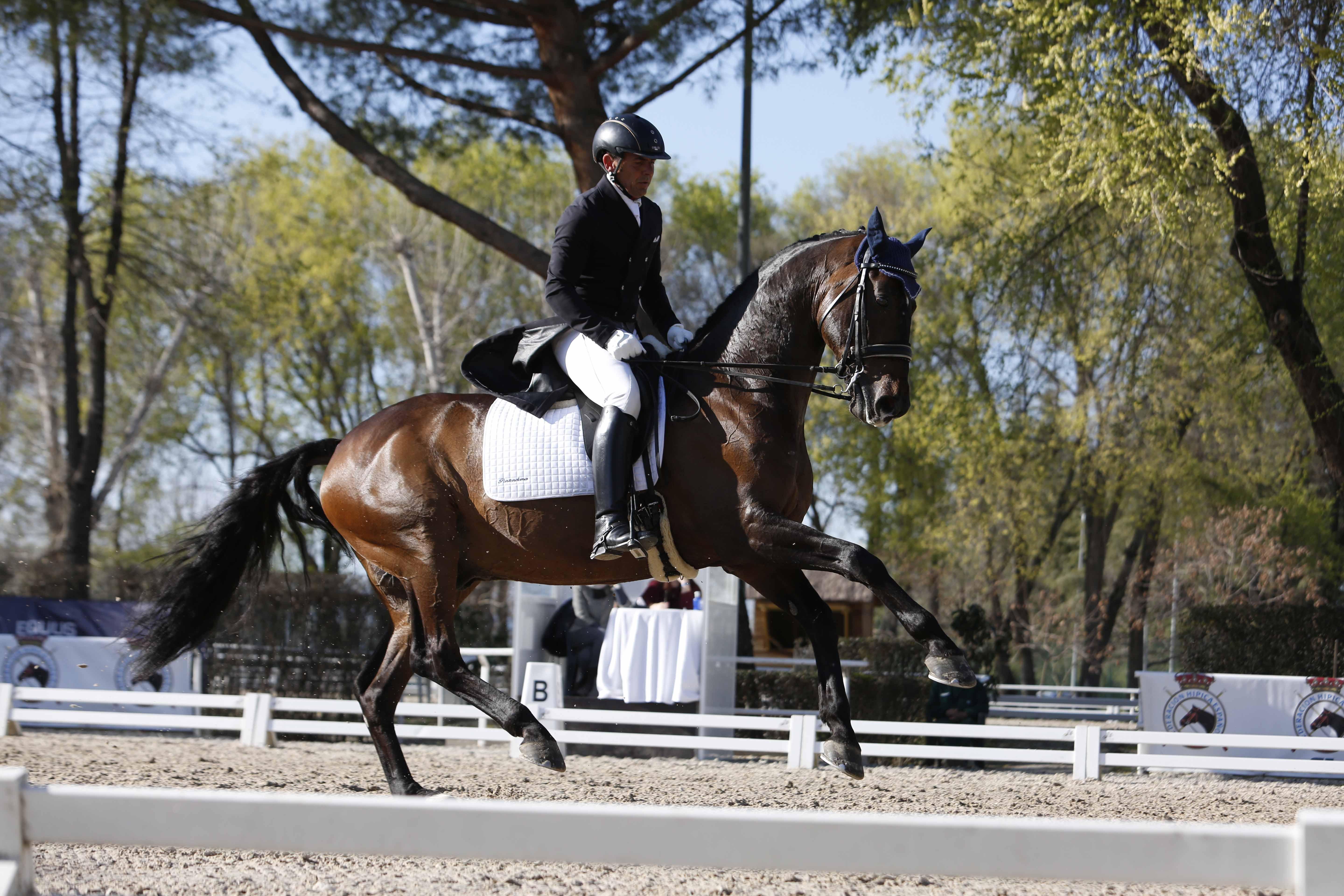 CDI 3*-Copa de S.M. El Rey de Doma Clásica 2019. Fotos: Ángel Yuste y Miguel Ros