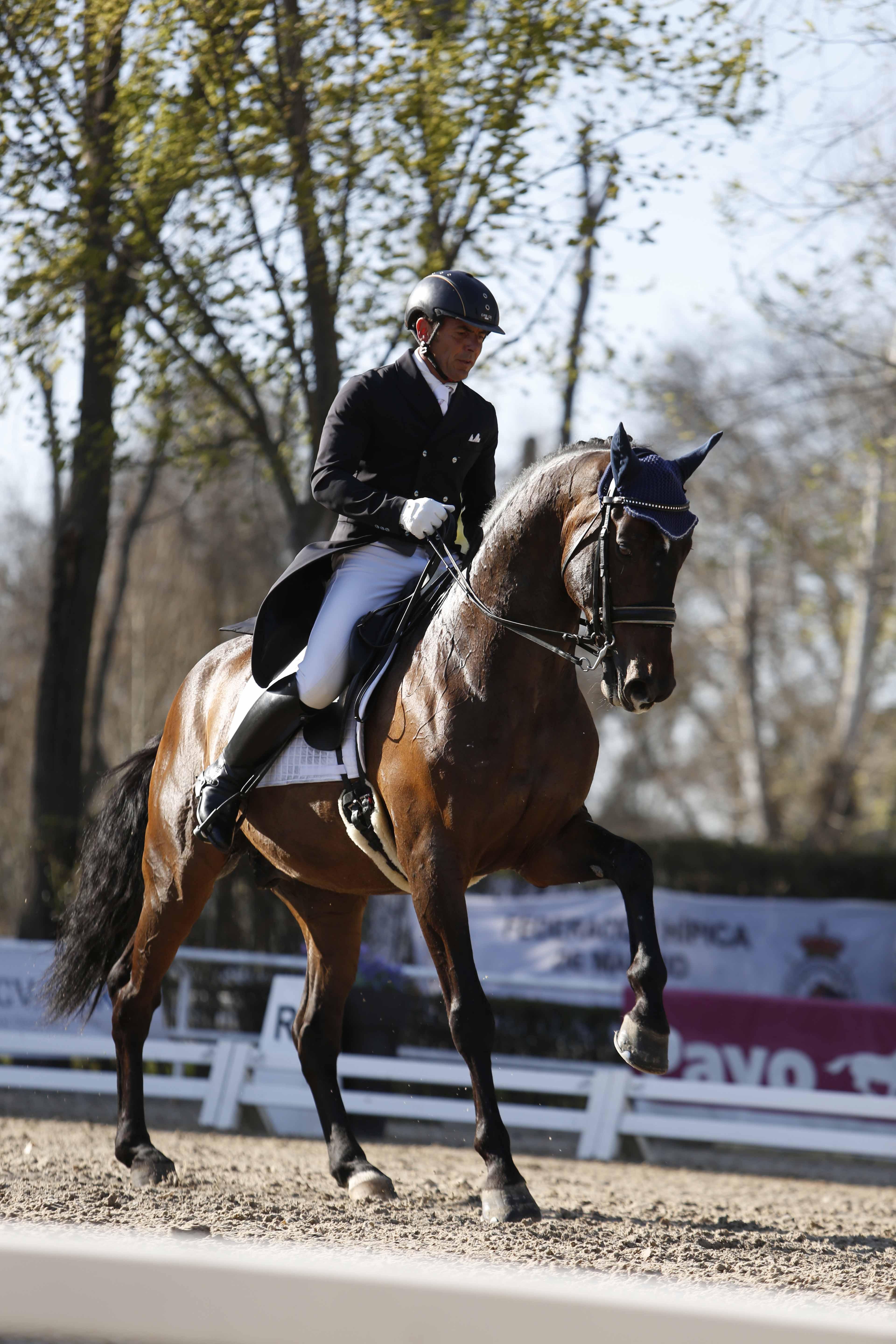 CDI 3*-Copa de S.M. El Rey de Doma Clásica 2019. Fotos: Ángel Yuste y Miguel Ros