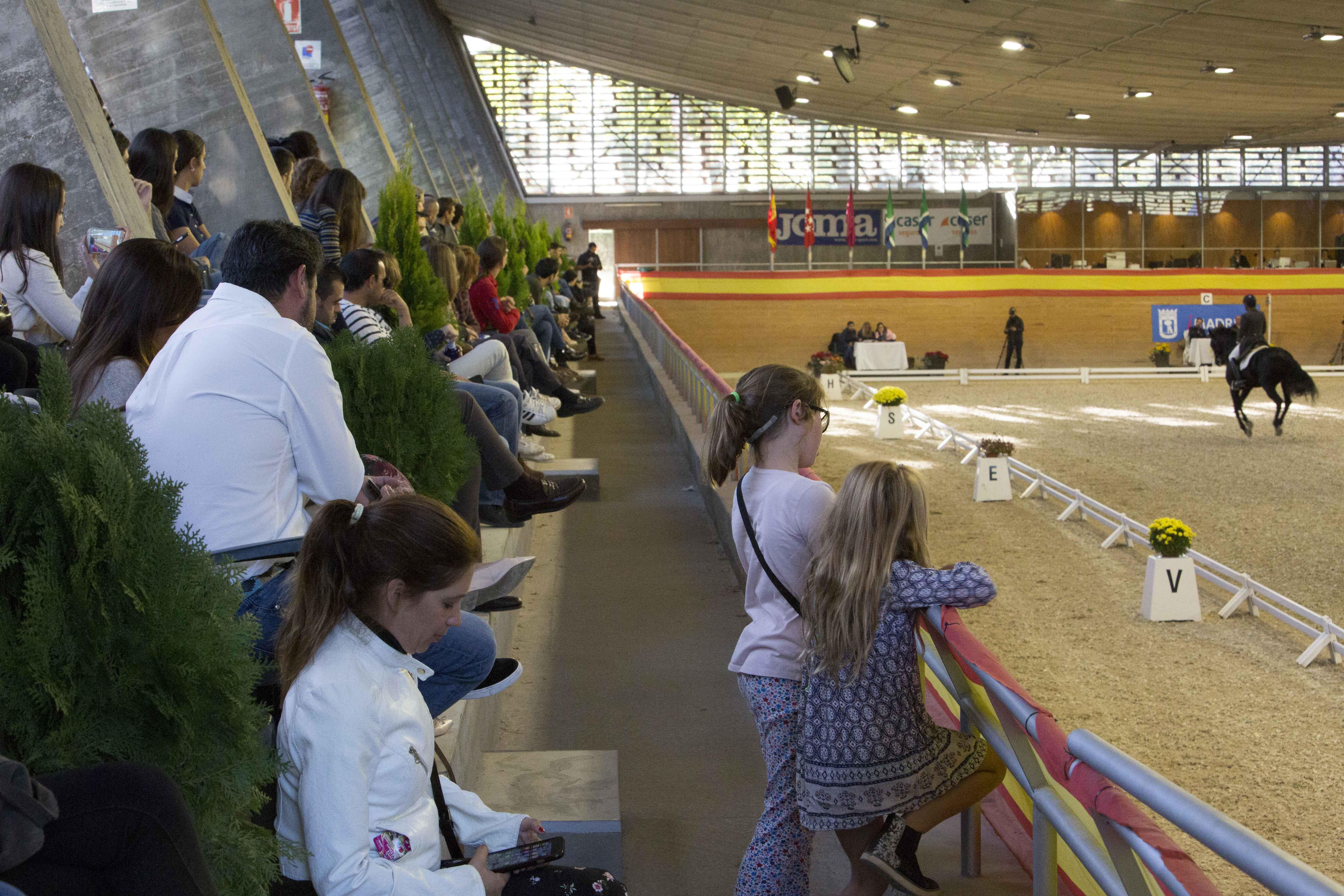 Copa de S.M. El Rey de Doma Clásica