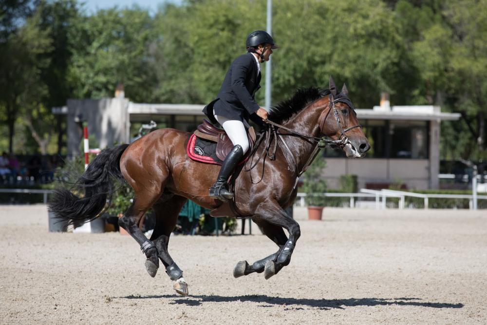 CSI Madrid 2*