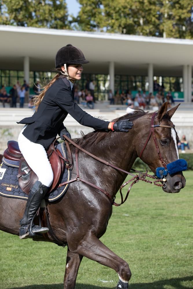 Campeonato de España Absoluto, Jóvenes Jinetes y Amateur