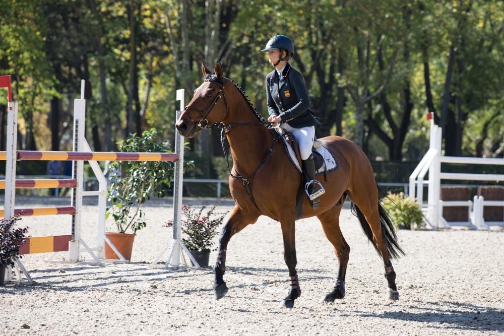 Campeonato de España Absoluto, Jóvenes Jinetes y Amateur